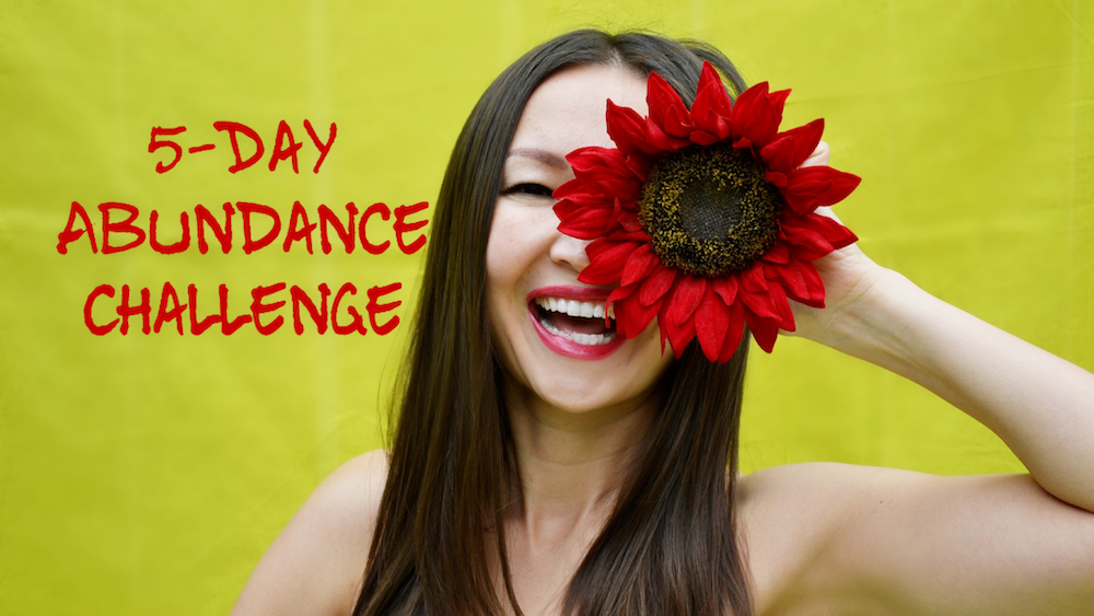 Abundance Challenge